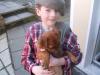Dog found - Dublin