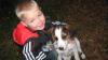 Dog lost - Wexford