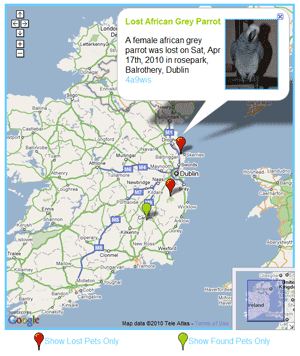 Geotagged lost and found pet listings in Ireland