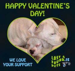 Happy Valentine's Day animal lovers