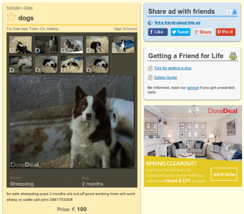 No call to action to adopt